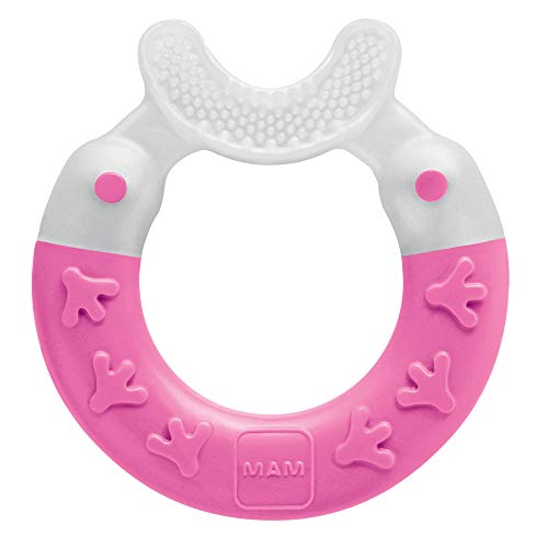 MAM Bite  Brush Teether 2in1 Infant Toothbrush and Teether with Ring Handle Baby Toys Teething Toys for Girls 3 Months 1Count Pink