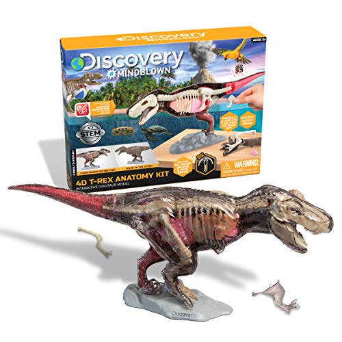 Discovery Mindblown 4D TRex Dinosaur Anatomy Kit Interactive Archaeology Paleontology Model Learn Science Fun and Educational STEM Toy for Kids Ages 6 and Up